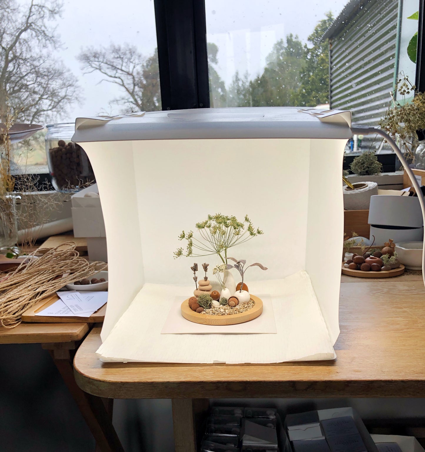 SOLD EUDORA - Tiny tumbleweed collection