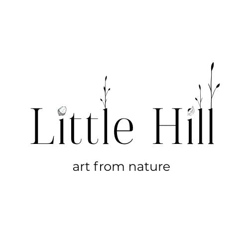LITTLE HILL LAWRENCE