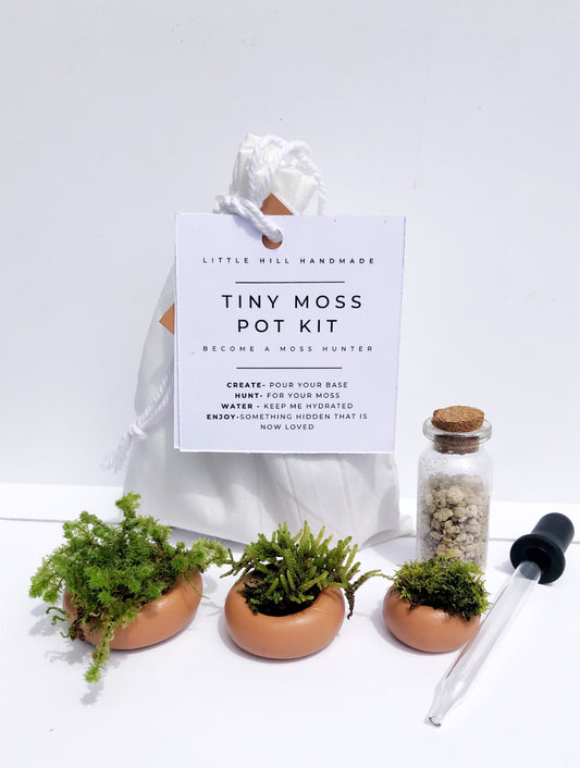 Tiny Moss Pot Kit