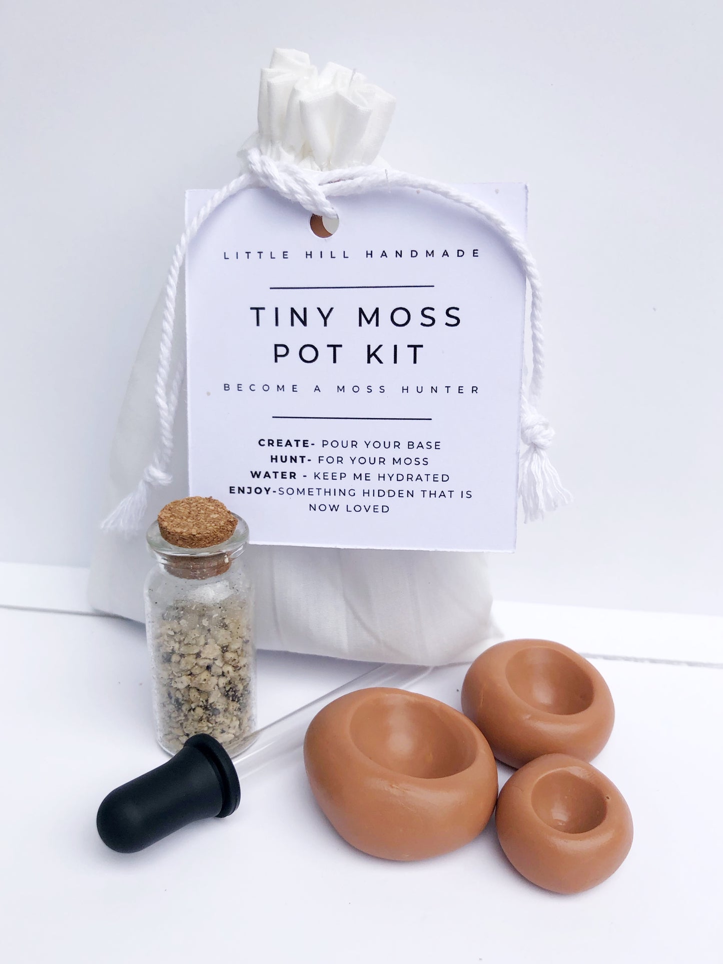 Tiny Moss Pot Kit