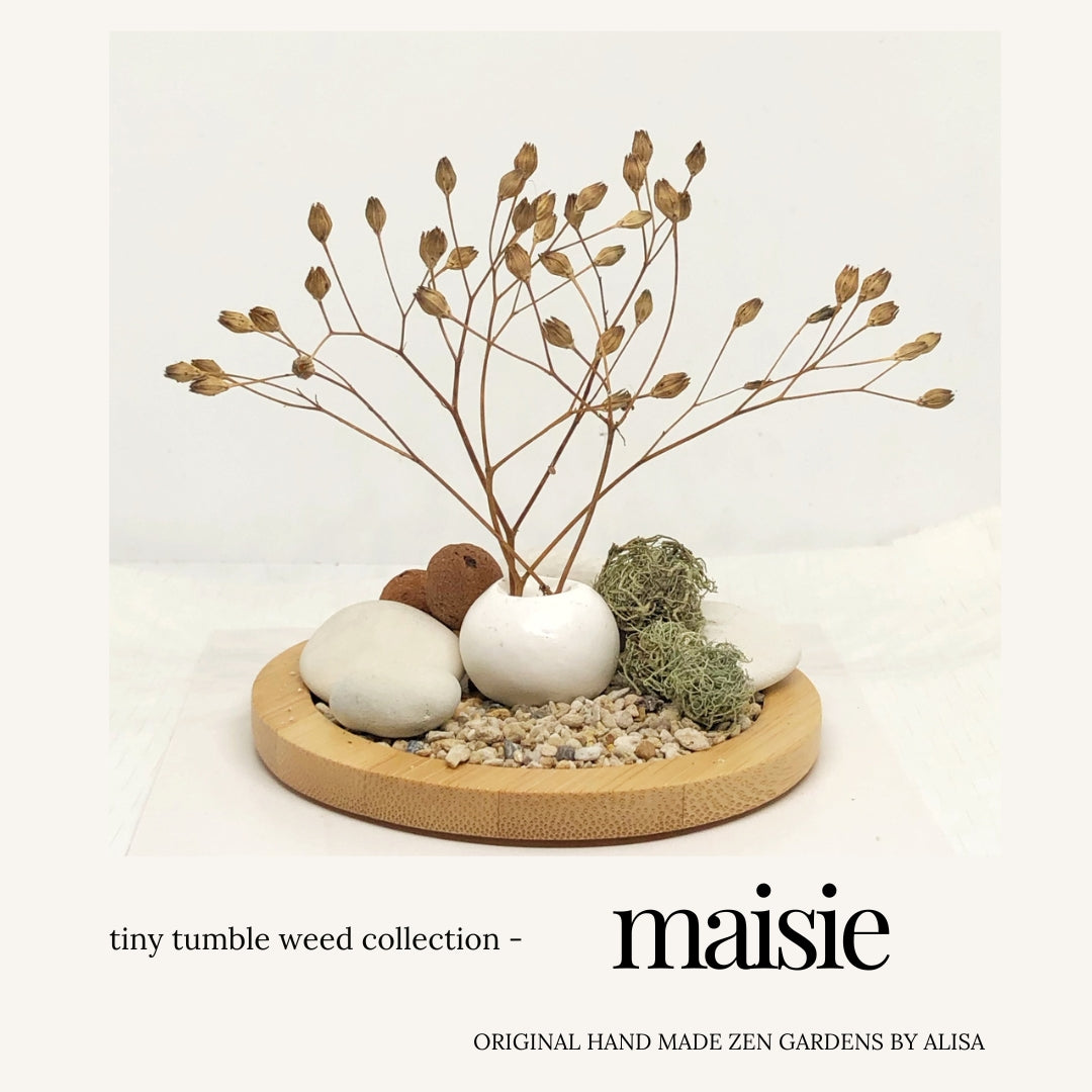 MAISIE - Tiny tumbleweed collection